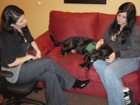 animal-assisted-therapy-in-pa