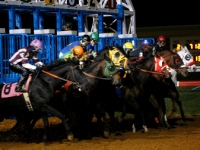 pennsylvania-horse-racing