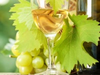 wineries-philadelphia-pinot-boutique
