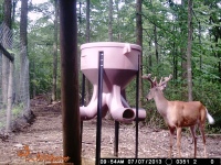 Reviews of Mountain Laurel Whitetail Hunting Preserve