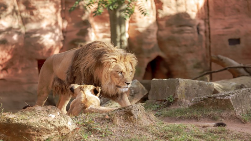 Complete List of Pennsylvania's Best Zoos Complete List of Pennsylvania's Best Zoos