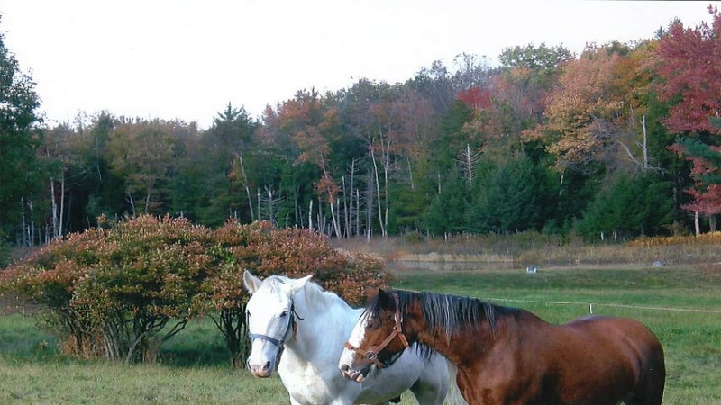 horseback riding tours pennsylvania