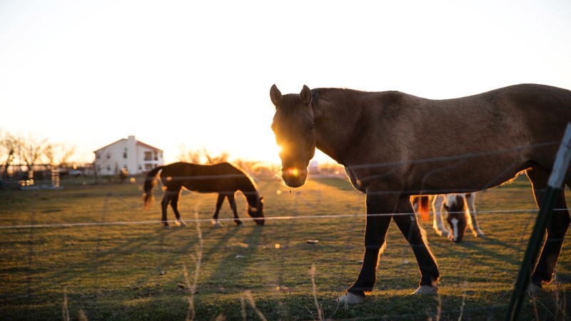 horseback riding tours pennsylvania