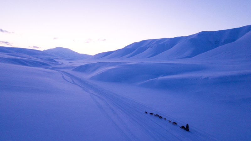 dog-sledding-in-pa