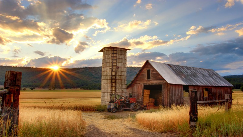 Kids Farm Visits PA