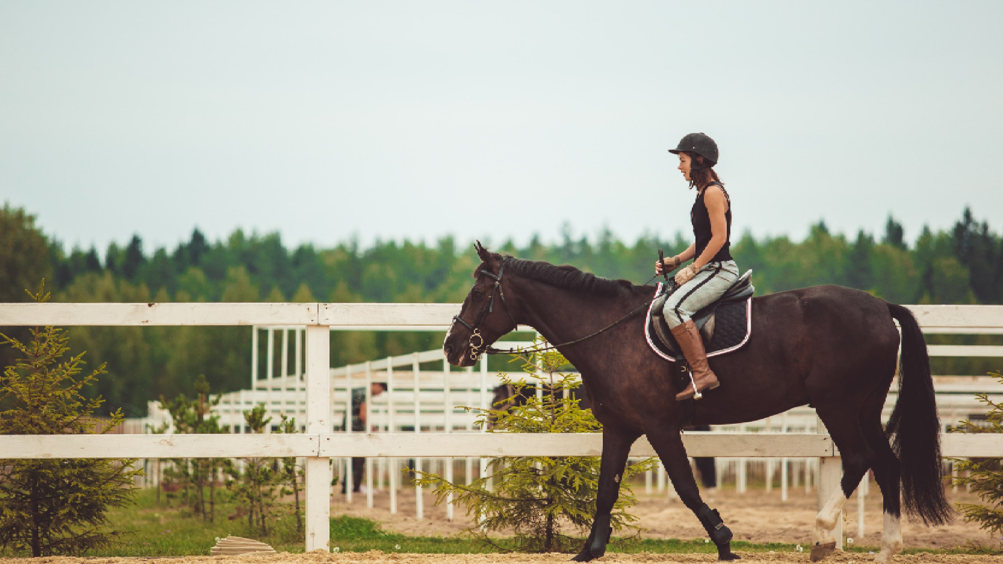 Horseback Riding Lessons PA