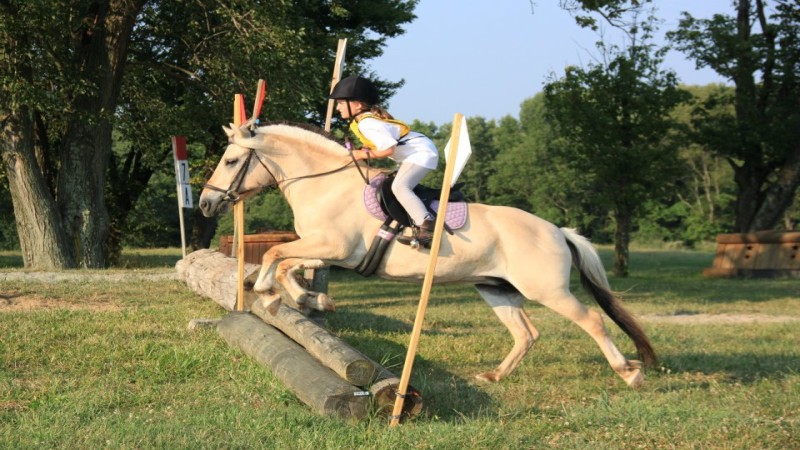 horseback riding tours pennsylvania