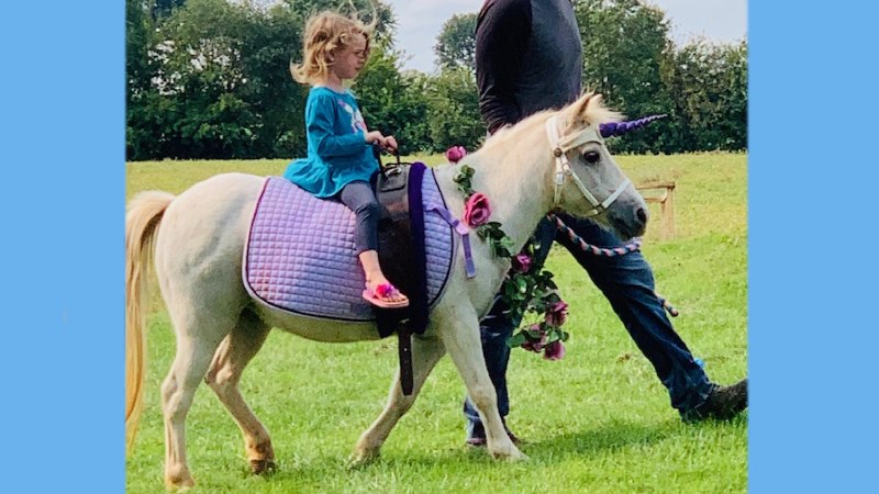 How Much To Rent A Pony For Birthday Party Nj Tamera Reilly